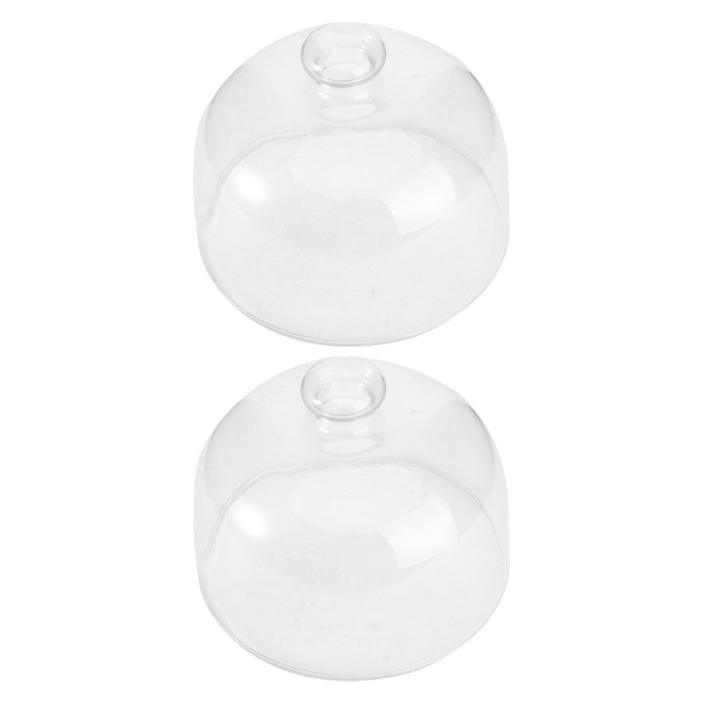 2Pcs Transparent Glass Cake Do - Plastic Dome Clear recensie en prijs