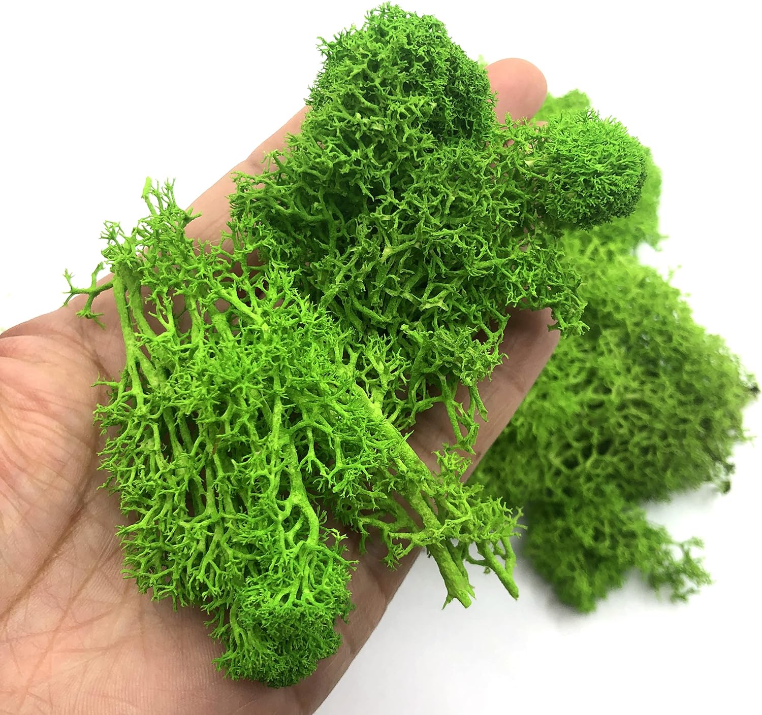 200g Artificial Green Plants M - Sphagnum Moss Dry recensie en prijs