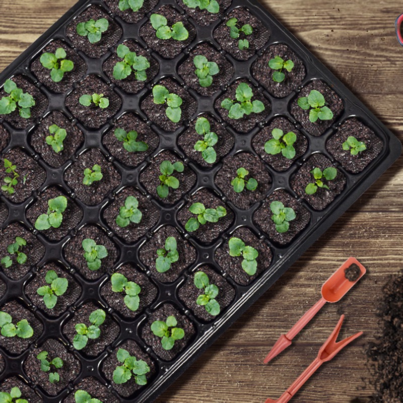 ABGH-10 Pack Seed Starter Tray - Propagation Tray 72 recensie en prijs