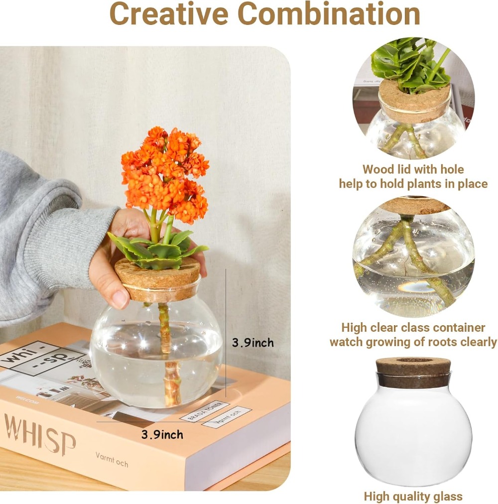 Hydroponic Plant Propagation S - Propagation Station Vase recensie en prijs