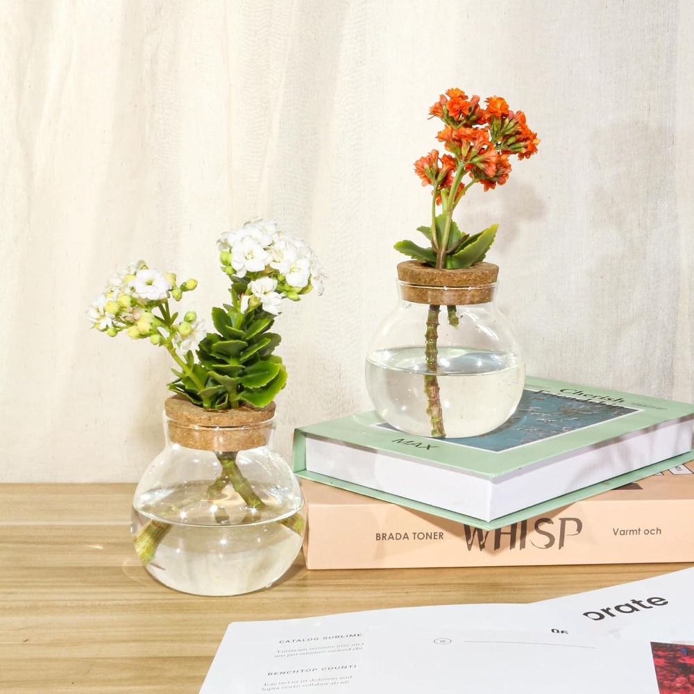 Hydroponic Plant Propagation S - Propagation Station Vase recensie en prijs