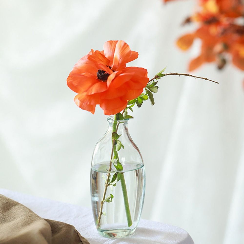 Fashion Retro Flower Vase Glas - Propagation Station Vase recensie en prijs