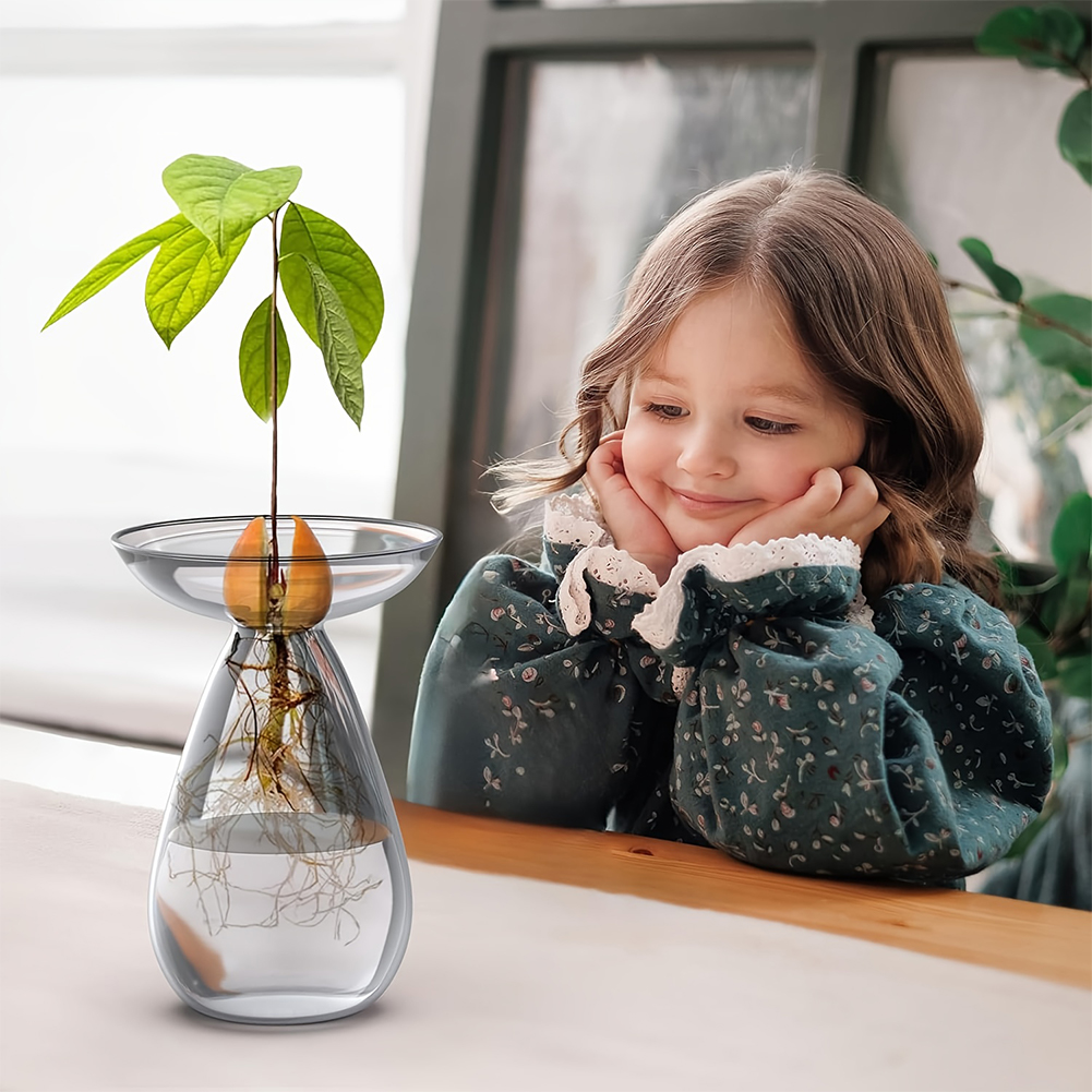 Avocado Seed Starter Vase Tran - Propagation Station Vase recensie en prijs