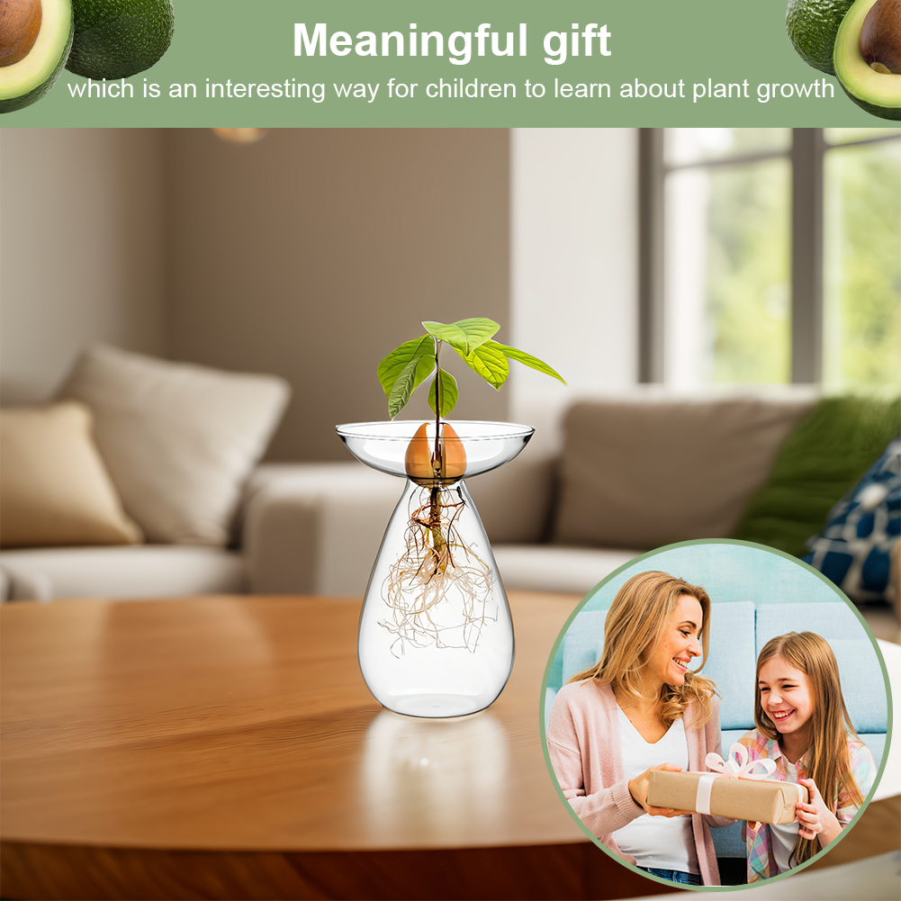 Avocado Seed Starter Vase Tran - Propagation Station Vase recensie en prijs