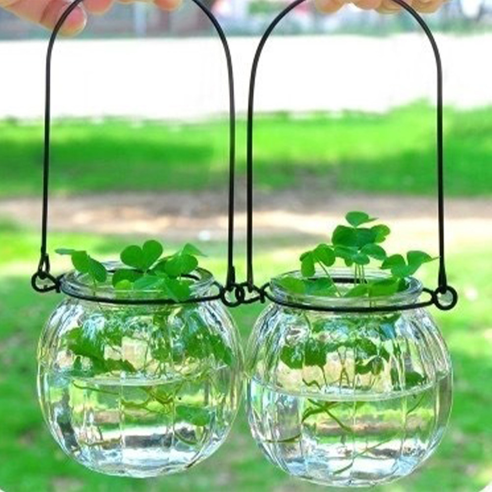 6Pcs Transparent Hanging Glass - Propagation Station Vase recensie en prijs