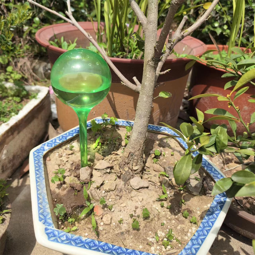Automatic Plant Watering Bulbs - Self Watering Insert recensie en prijs