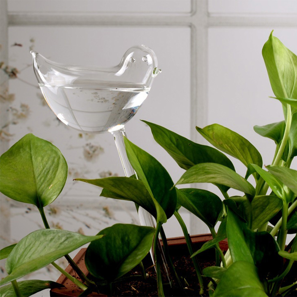 Automatic Plant Watering Bulbs - Self Watering Insert recensie en prijs