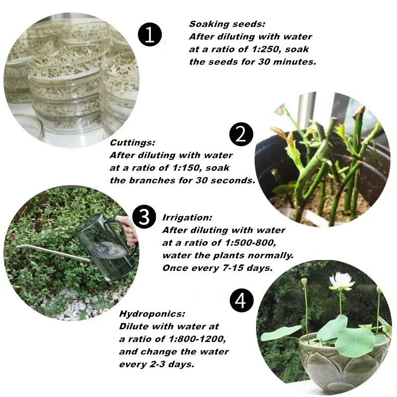 10g Quickly Rooting Powder Hor - Rooting Hormone Powder recensie en prijs