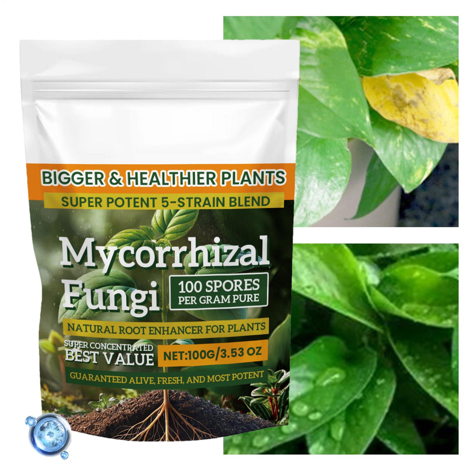 Plant Growth Enhancer Powder 1 - Rooting Hormone Powder recensie en prijs