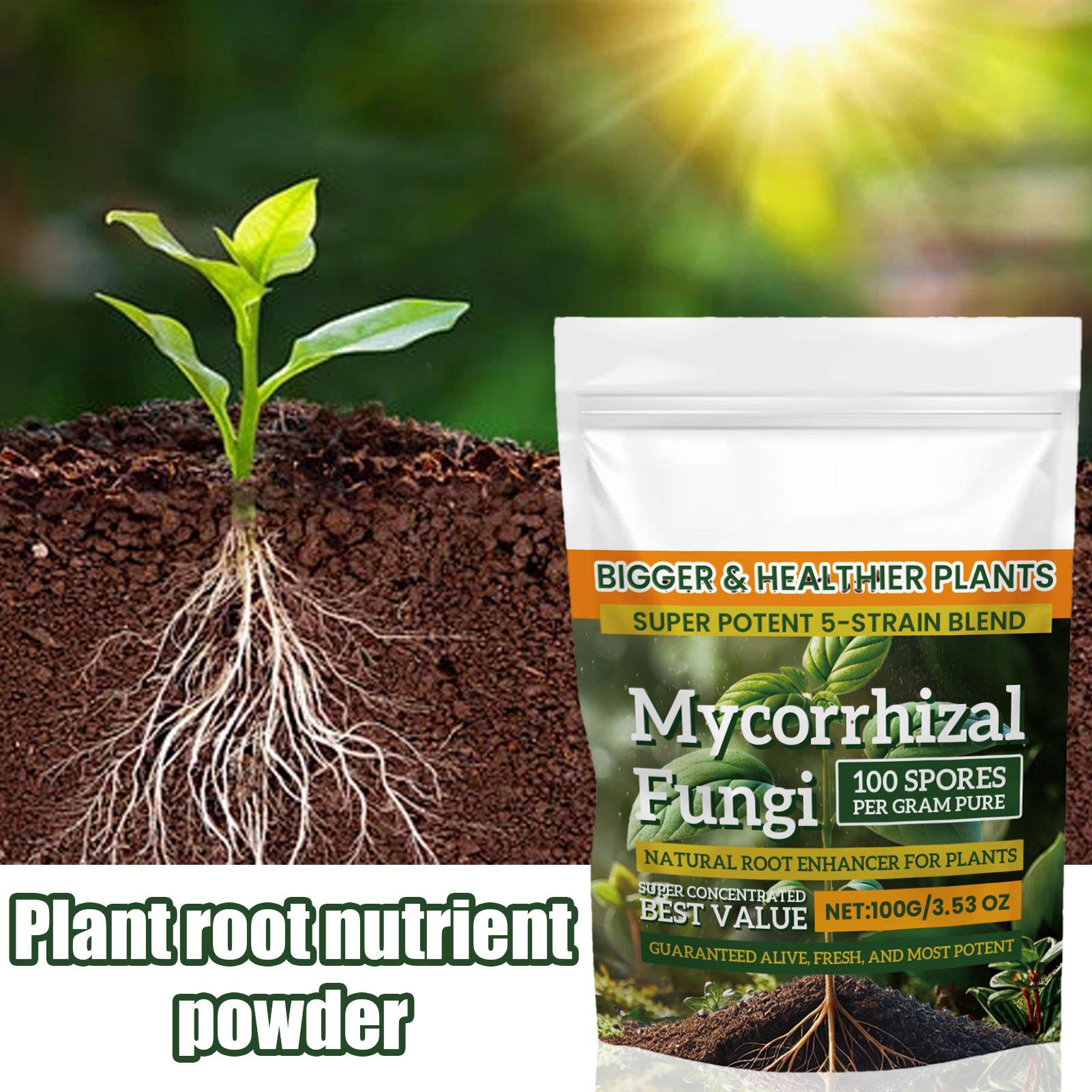 Plant Growth Enhancer Powder 1 - Rooting Hormone Powder recensie en prijs