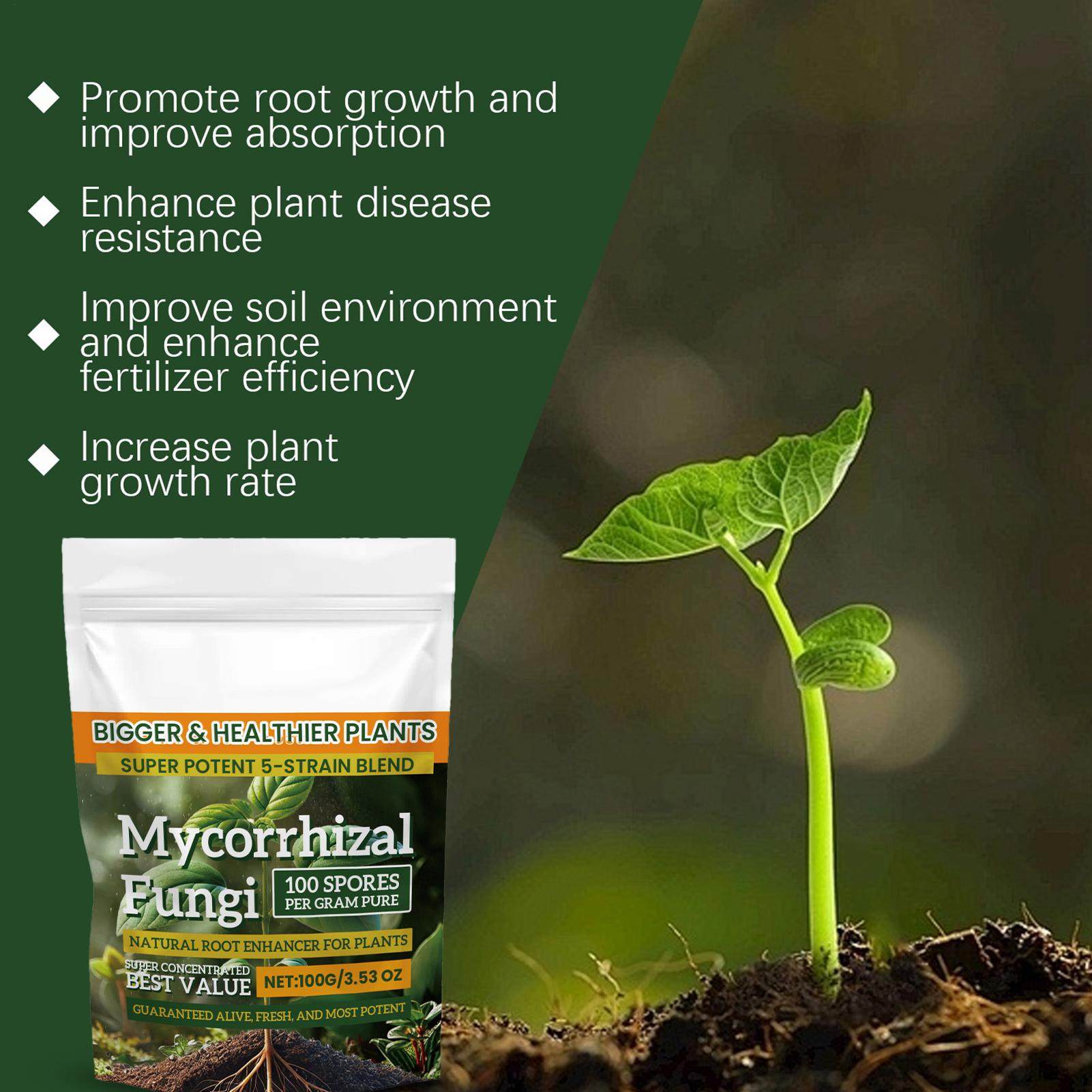 Plant Growth Enhancer Powder 1 - Rooting Hormone Powder recensie en prijs