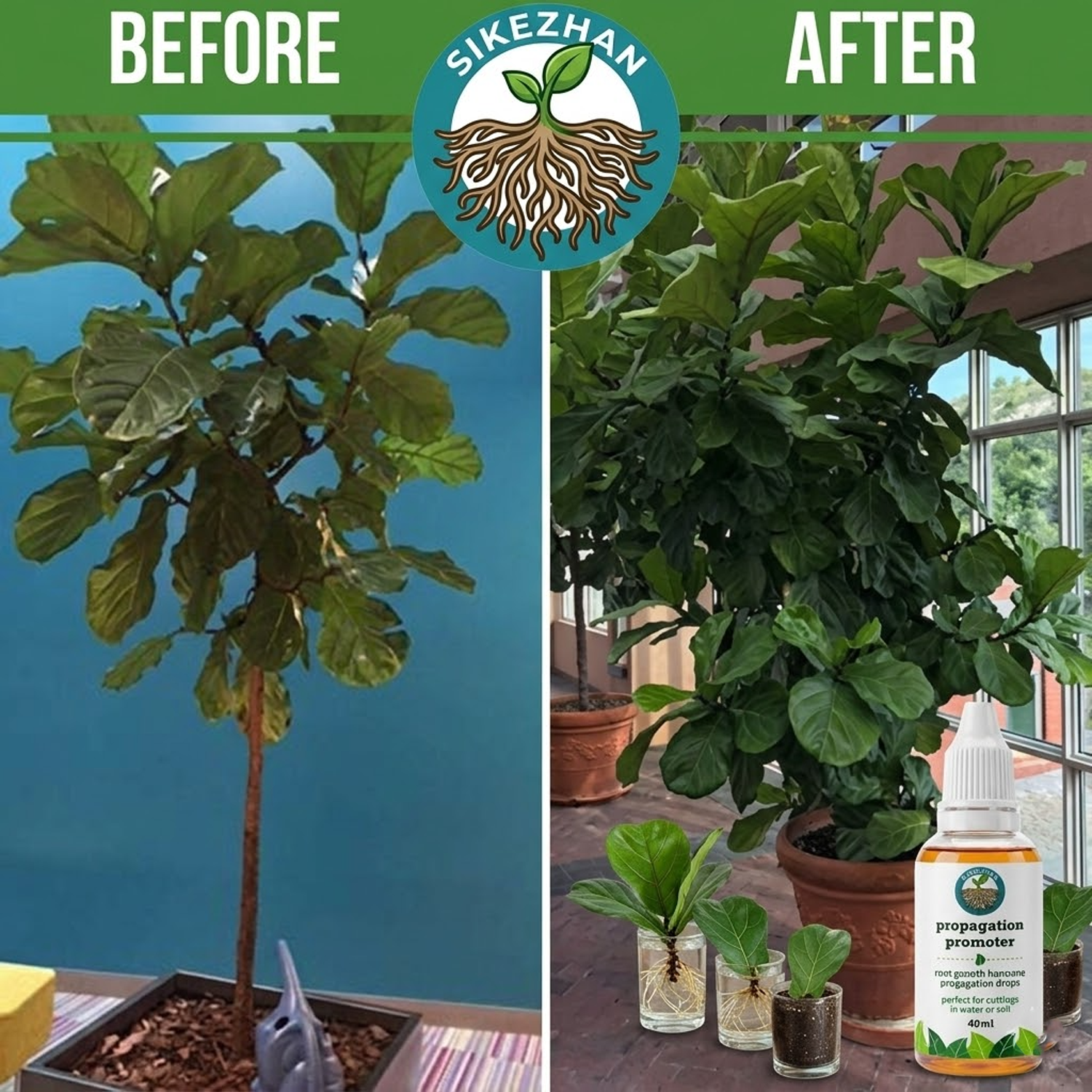 40ml Fast Plant Rooting Liquid - Root Stimulator Liquid recensie en prijs