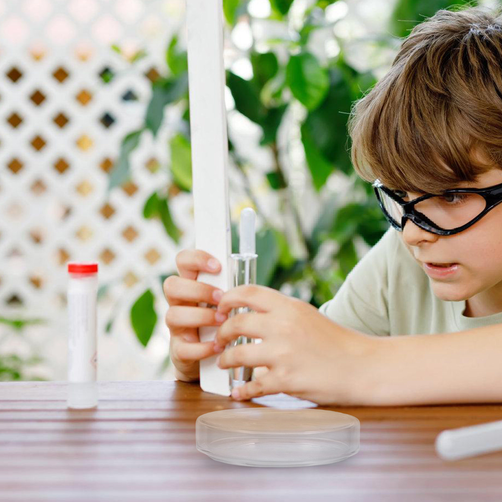High Borosilicate Glass Petri  - Agar Tissue Culture recensie en prijs
