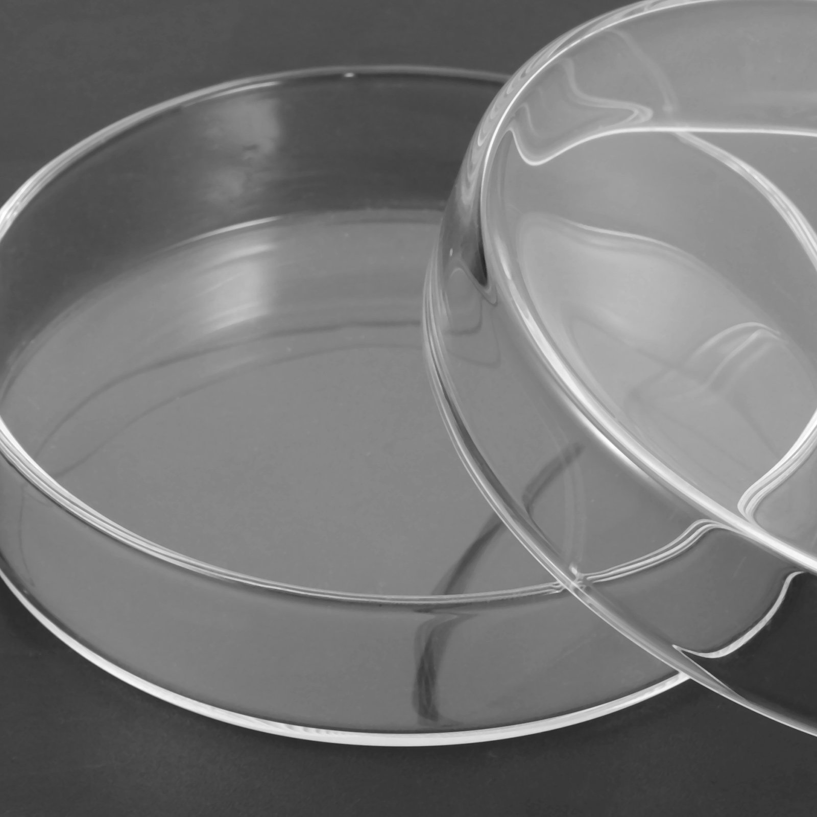 Glass Petri Dish High Borosili - Agar Tissue Culture recensie en prijs