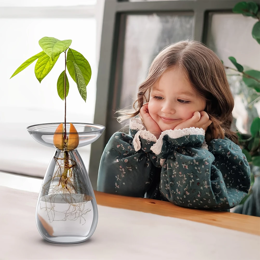 Avocado Seed Starter Vase Tran - Propagation Station Vase recensie en prijs