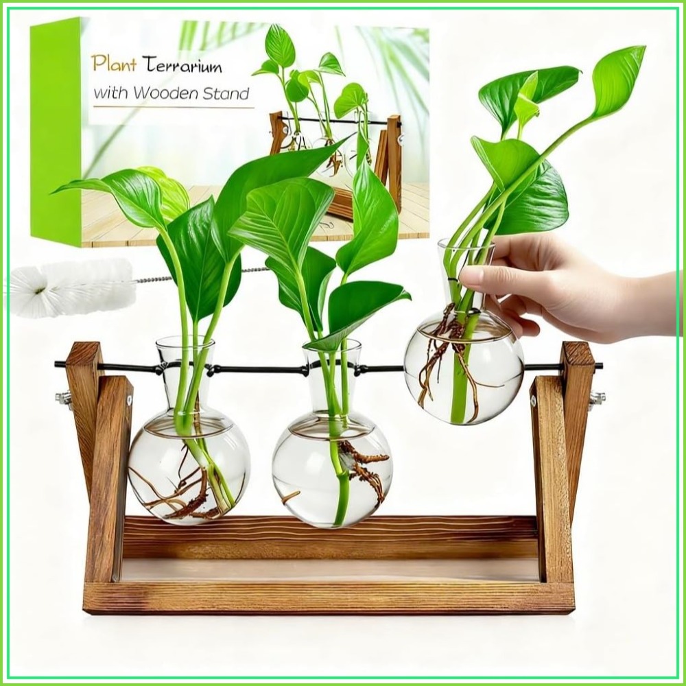 Plant Propagation Station with - Propagation Station Vase recensie en prijs