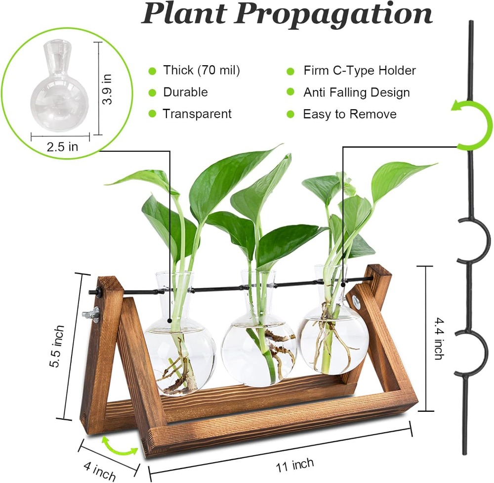 Plant Propagation Station with - Propagation Station Vase recensie en prijs