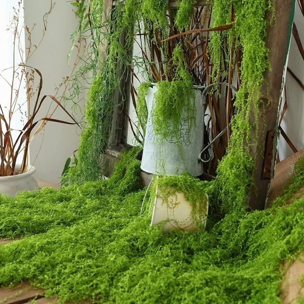 DIY Artificial Grass Rug Durab - Sphagnum Moss Dry recensie en prijs