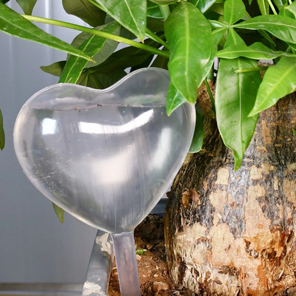 1pc Automatic Plant Watering B - Self Watering Insert recensie en prijs