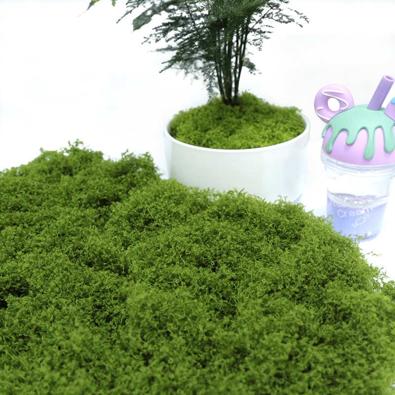 【P】50g Fake Moss DIY Crafts Gr - Sphagnum Moss Dry recensie en prijs