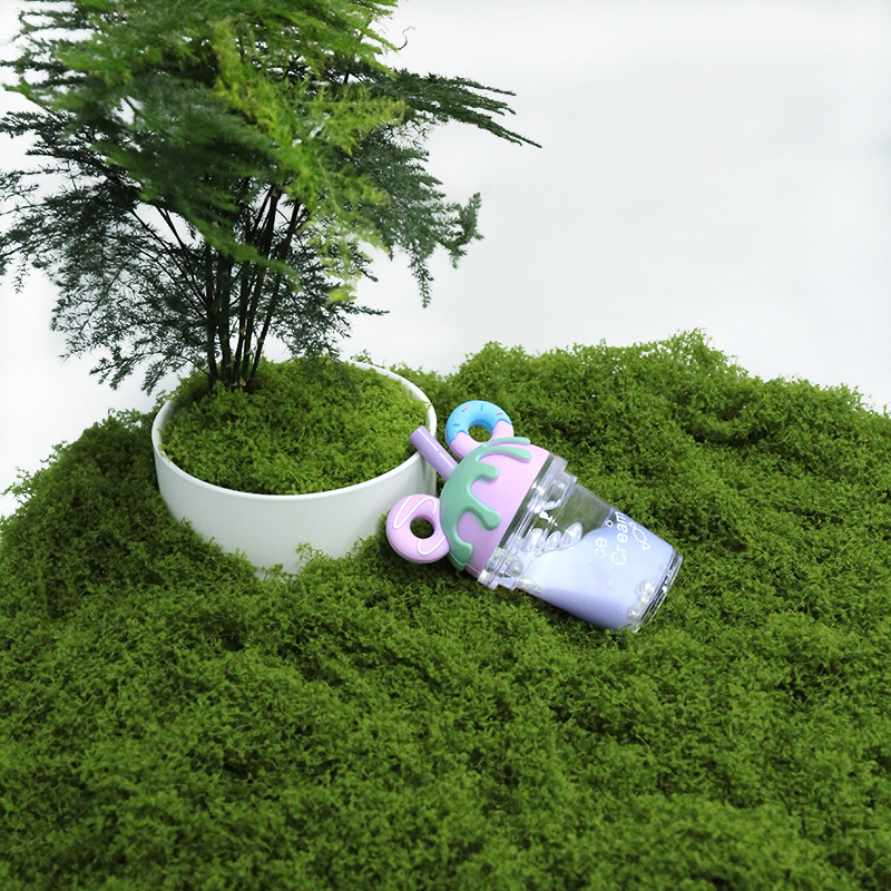 【P】50g Fake Moss DIY Crafts Gr - Sphagnum Moss Dry recensie en prijs