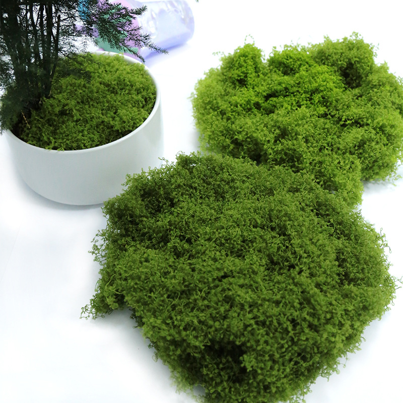 【P】50g Fake Moss DIY Crafts Gr - Sphagnum Moss Dry recensie en prijs
