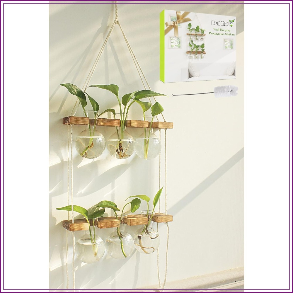 Wall Hanging Plant Propagation - Propagation Station Vase recensie en prijs