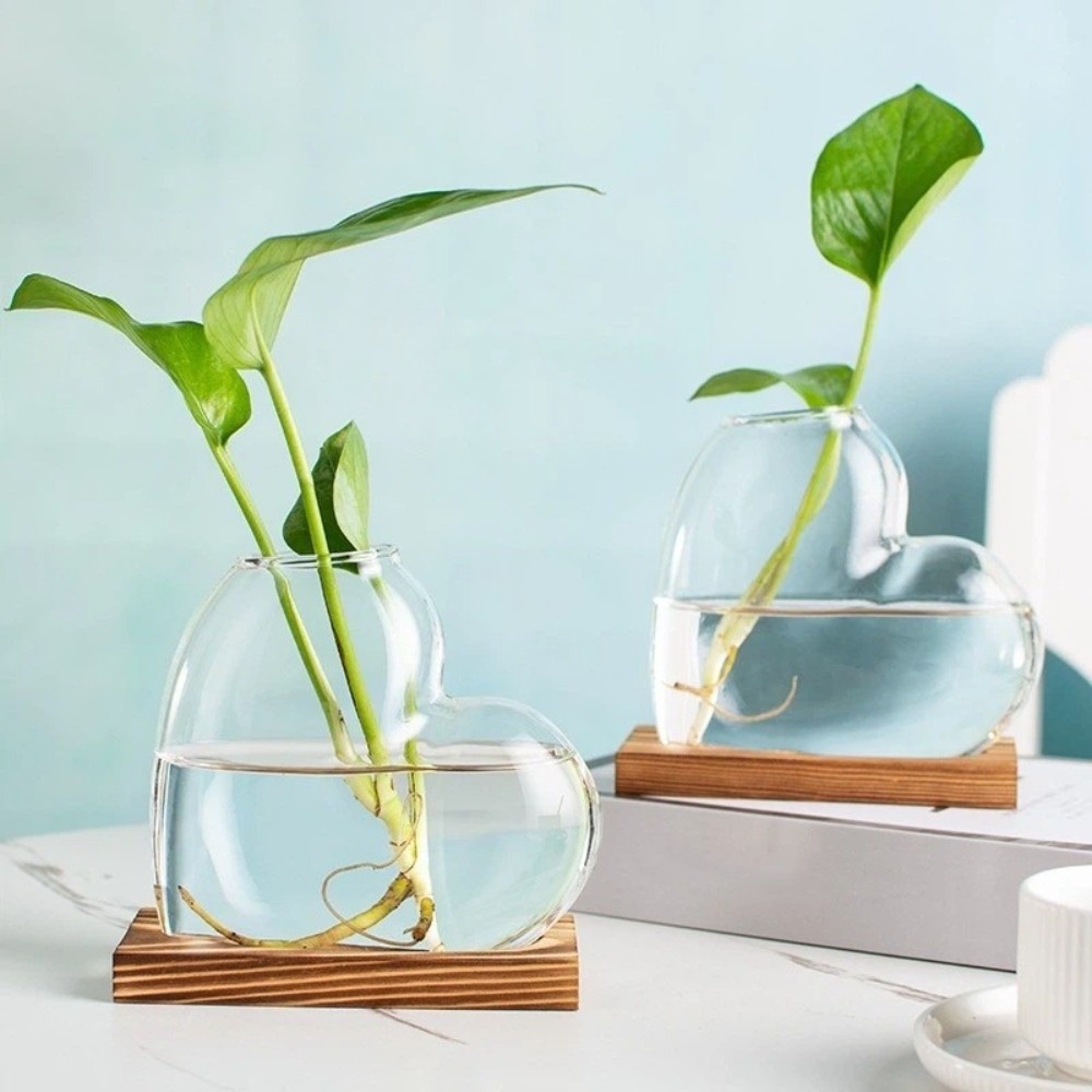 Transparent Hydroponic Glass V - Propagation Station Vase recensie en prijs