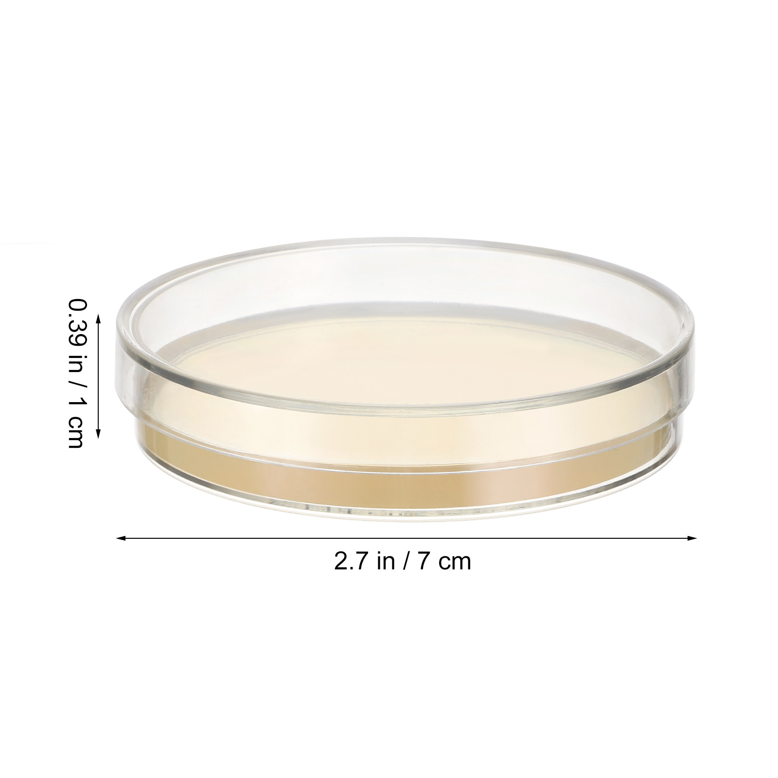 10pcs Pre-filled Agar Plates P - Agar Tissue Culture recensie en prijs