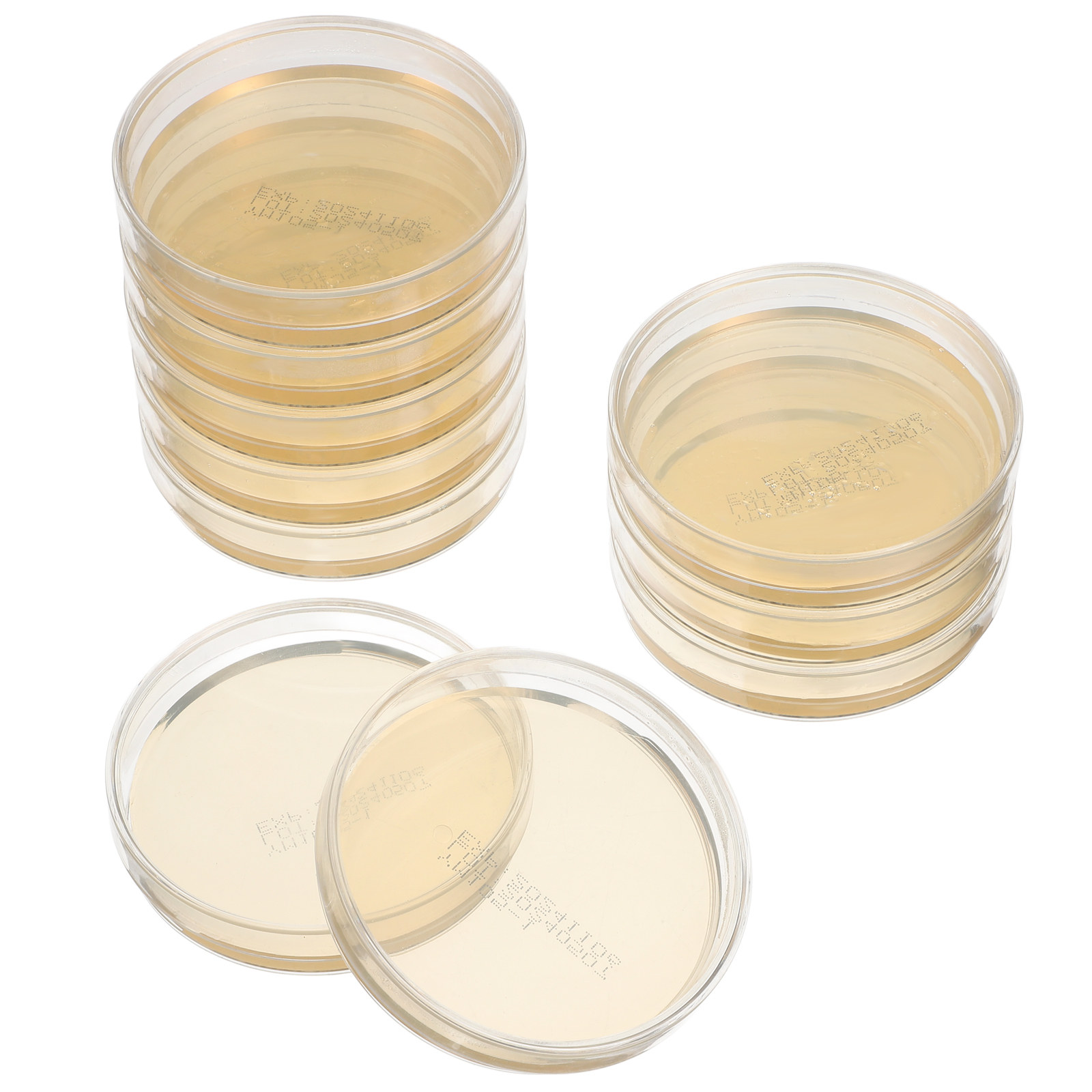 10pcs Pre-filled Agar Plates P - Agar Tissue Culture recensie en prijs