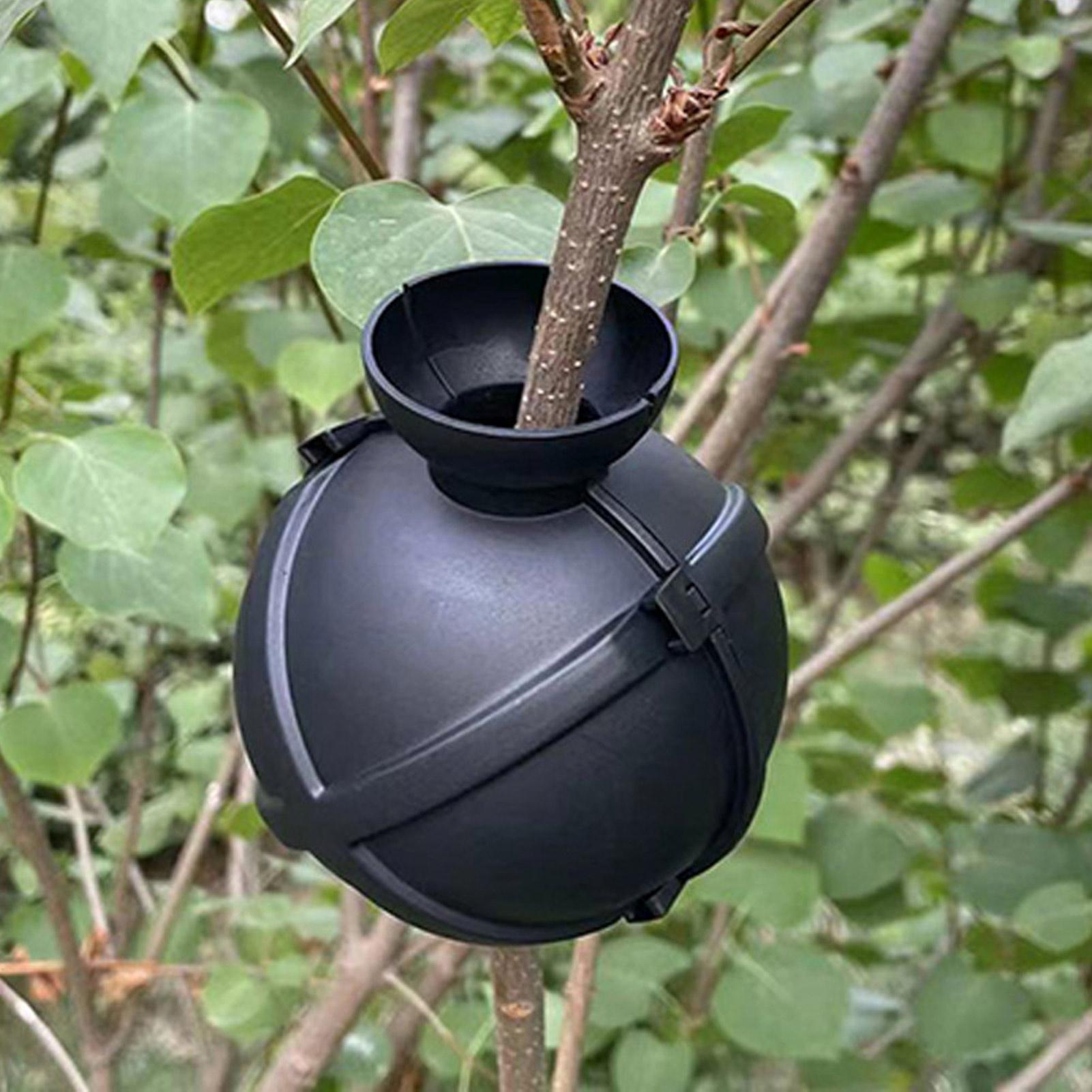 Garden Orchard Plants Grafting - Rooting Gel Clone recensie en prijs