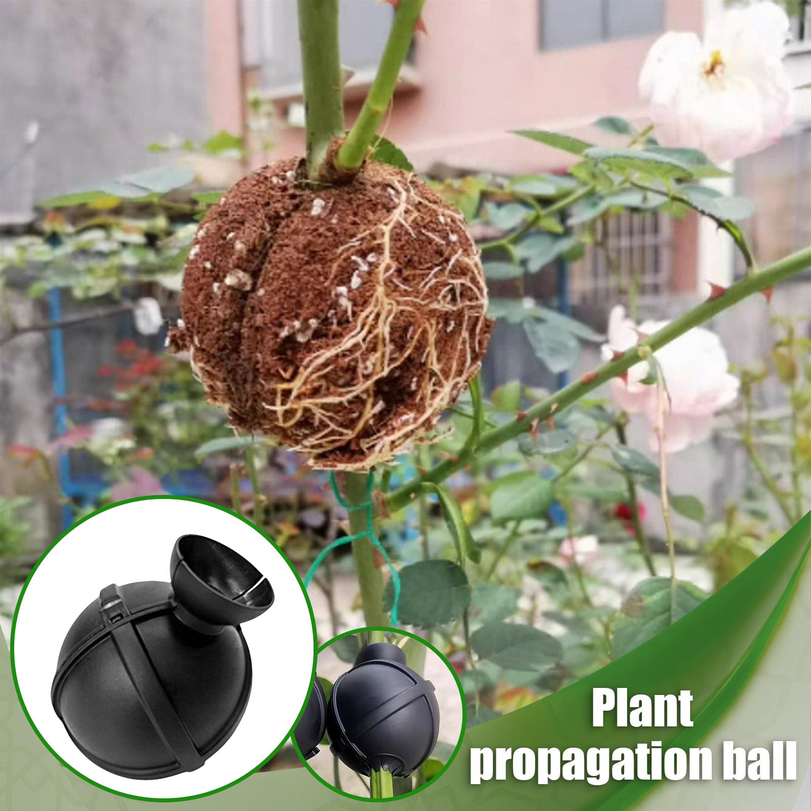 Garden Orchard Plants Grafting - Rooting Gel Clone recensie en prijs