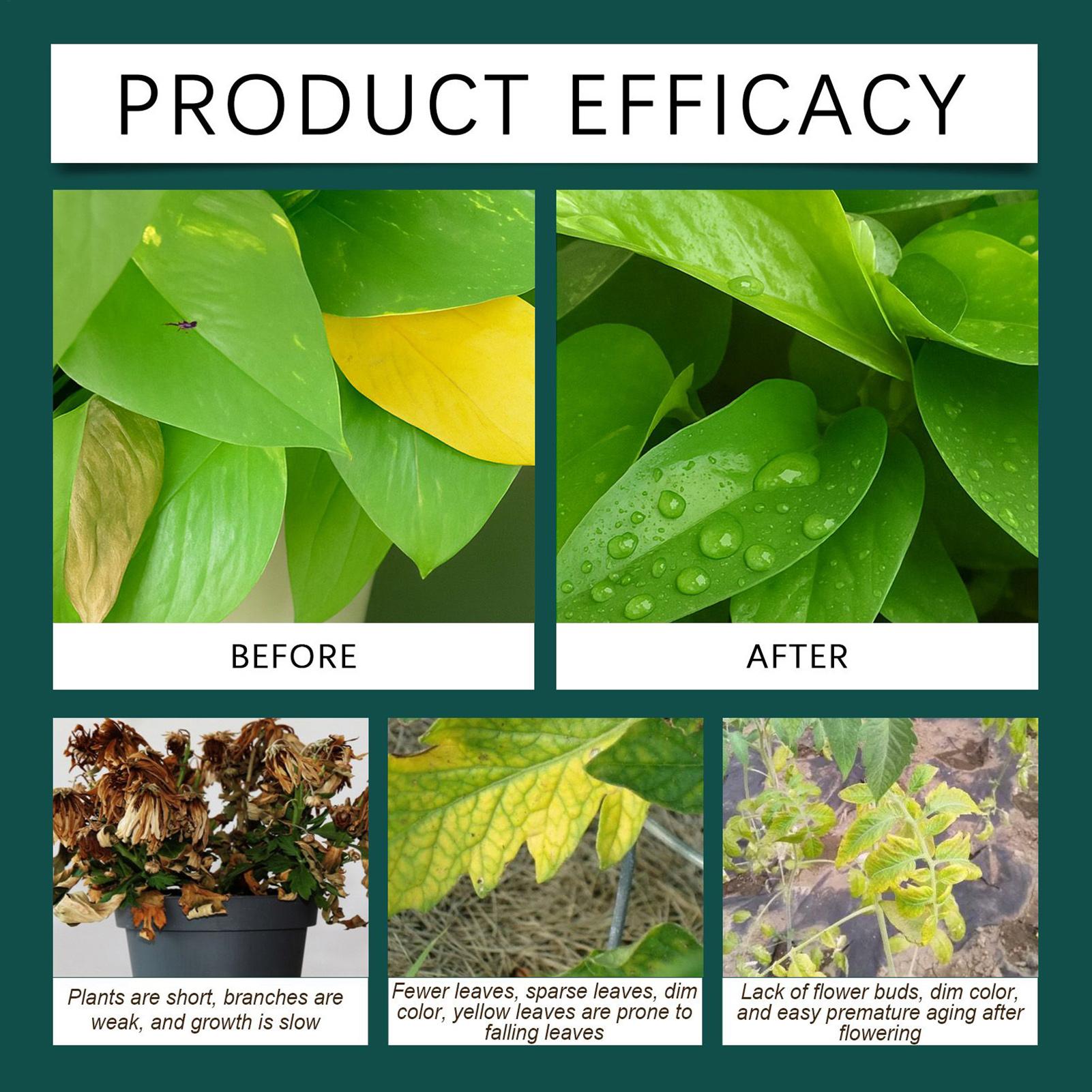 100ml Plant Rooting Liquid Dro - Root Stimulator Liquid recensie en prijs