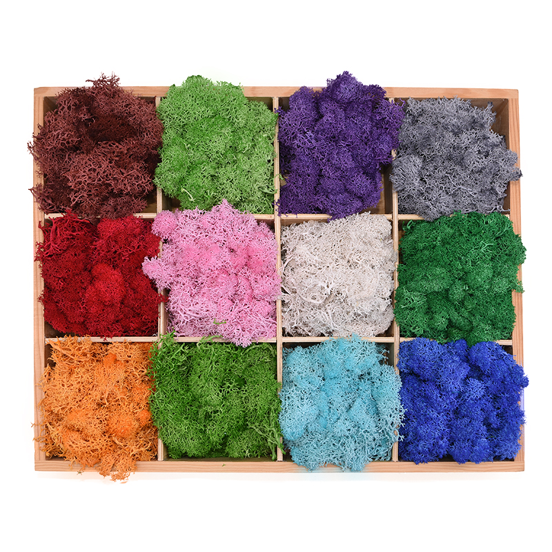 20-40g Artificial Natural Plan - Sphagnum Moss Dry recensie en prijs